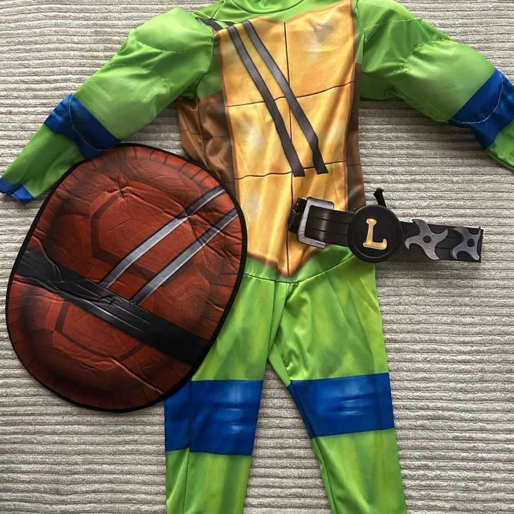 Ninja Turtle Halloween Costume